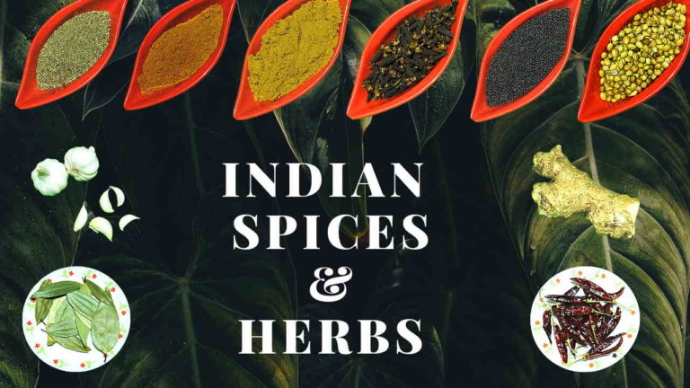 Indian Spices List with Pictures (A COMPLETE GUIDE) & Glossary