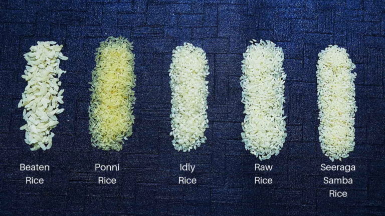 9 Most Popular Types of Rice in India – A Complete Guide